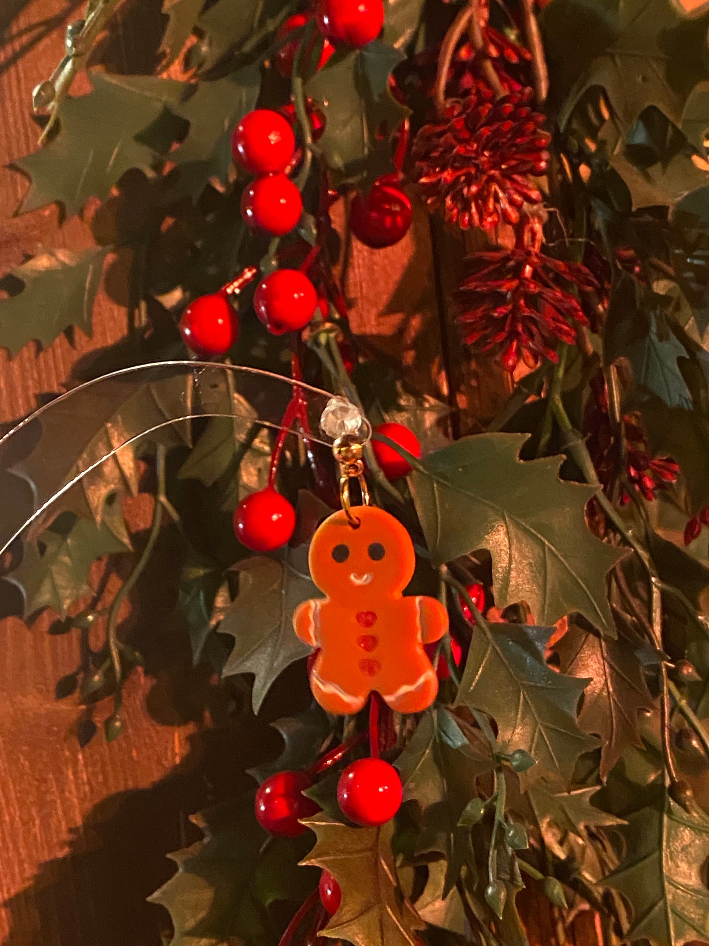 Mr.Ginger