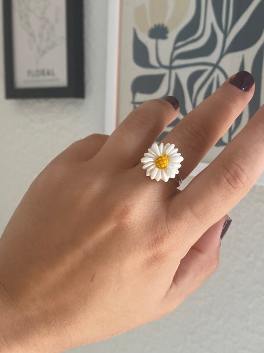 Anillo Marga M